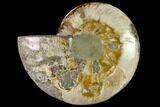 Wide Polished Fossil Ammonite Dish - Inlaid Ammonite #137411-2